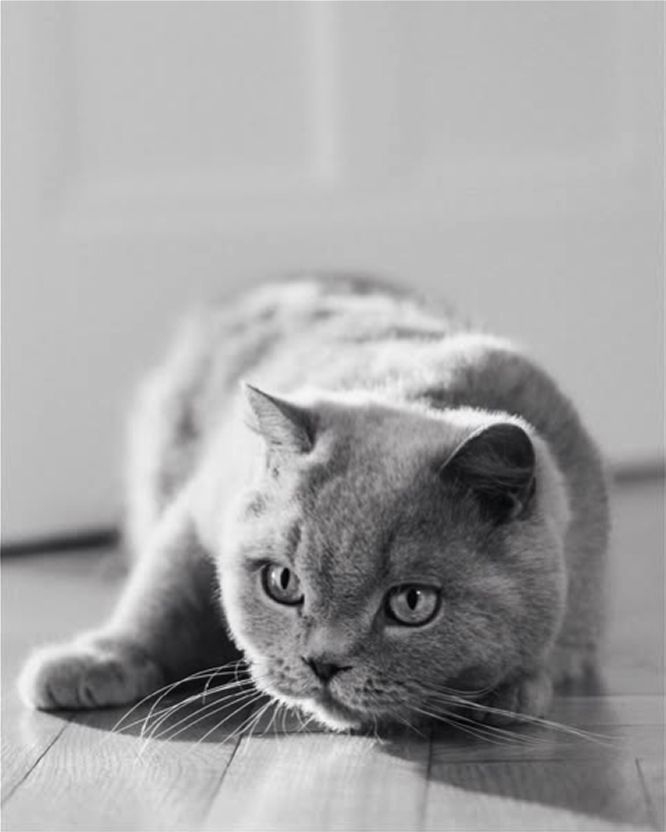 instagram投稿写真