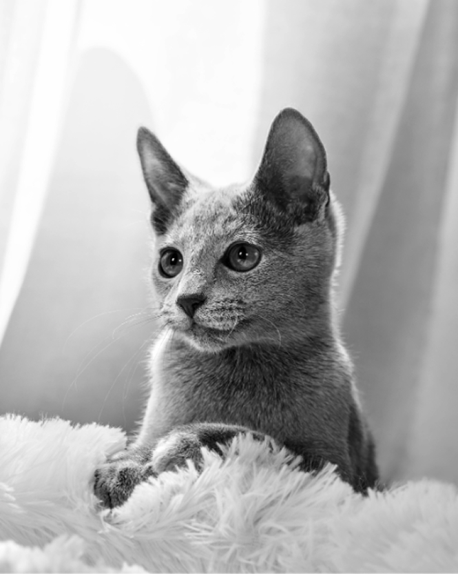 instagram投稿写真