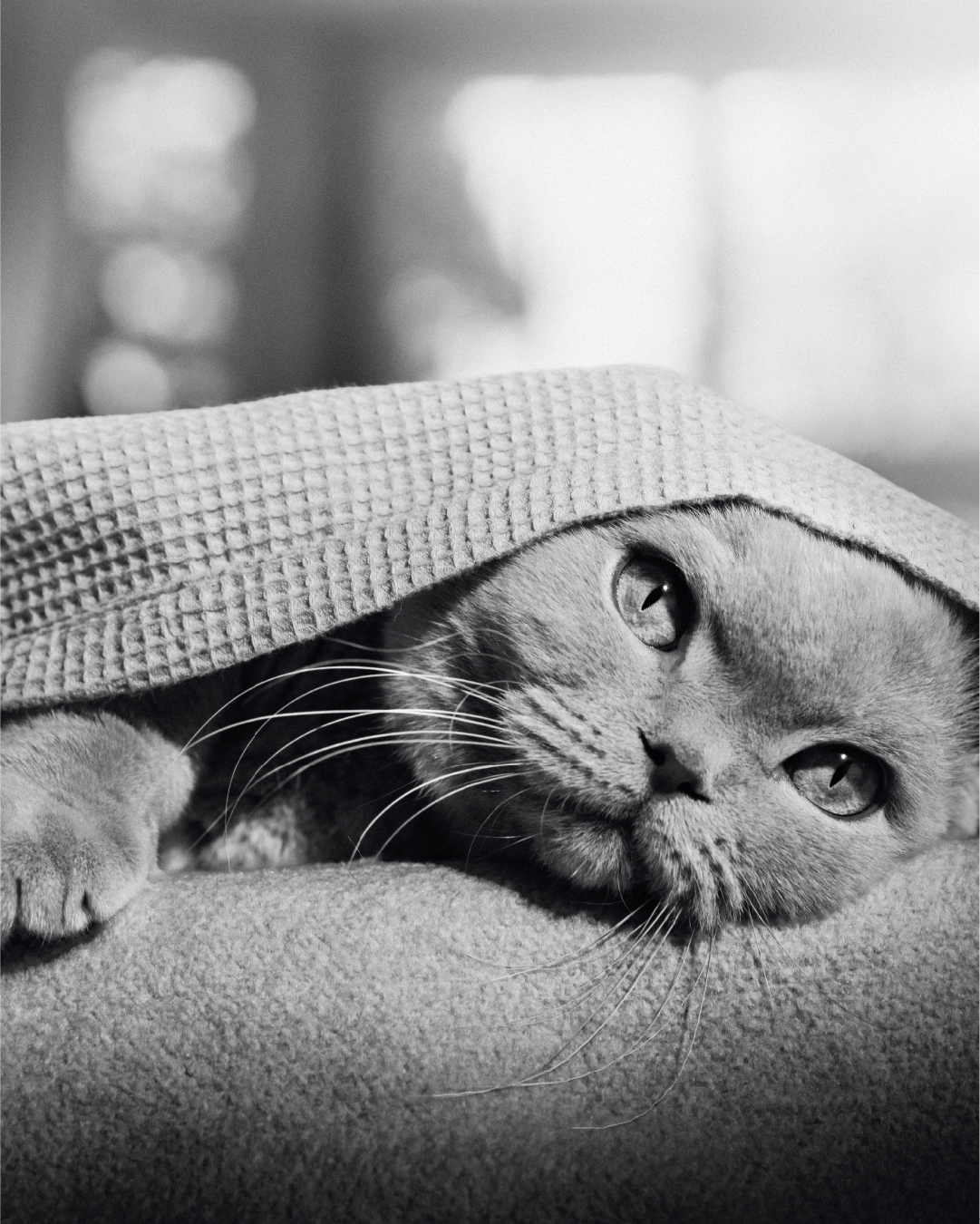 instagram投稿写真