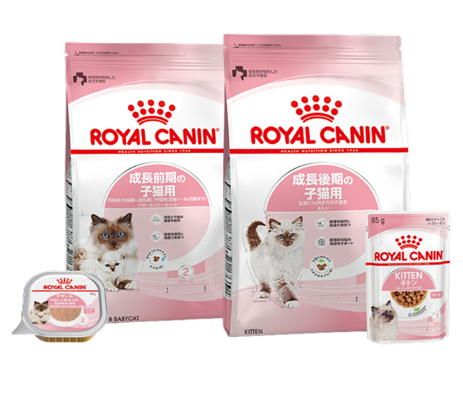 ロイヤルカナンの子猫用フード