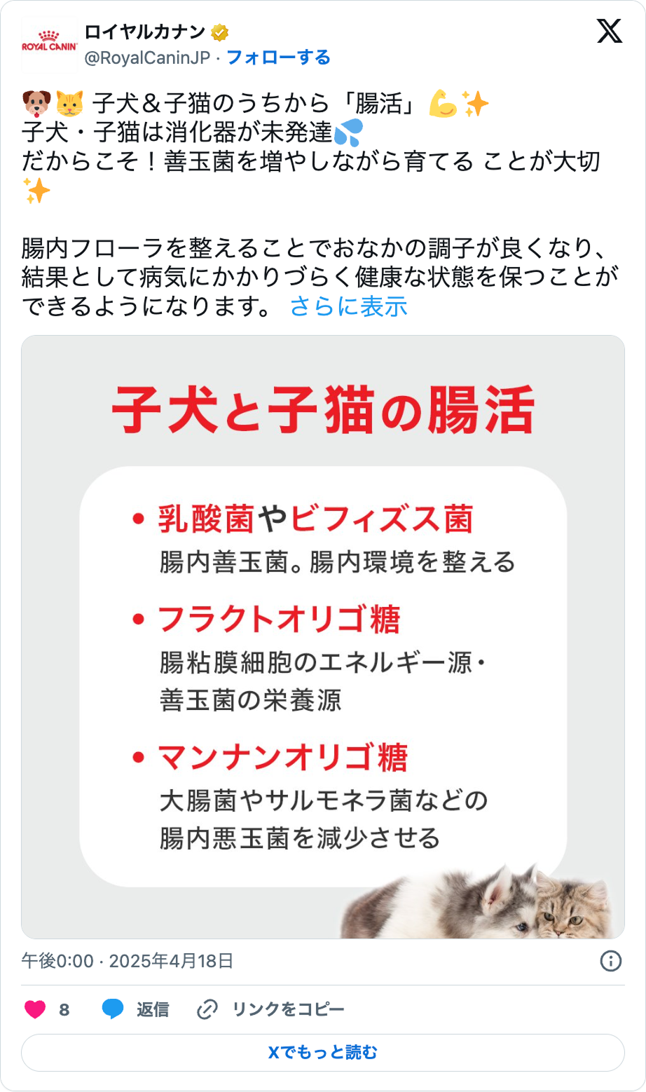 x(twitter)投稿者写真