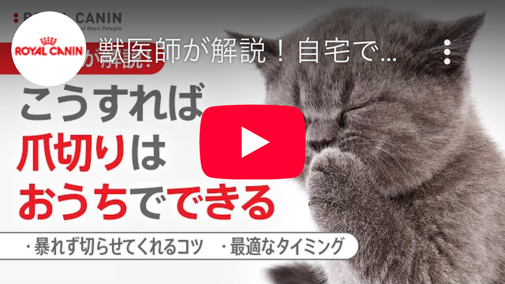 youtubeサムネイル