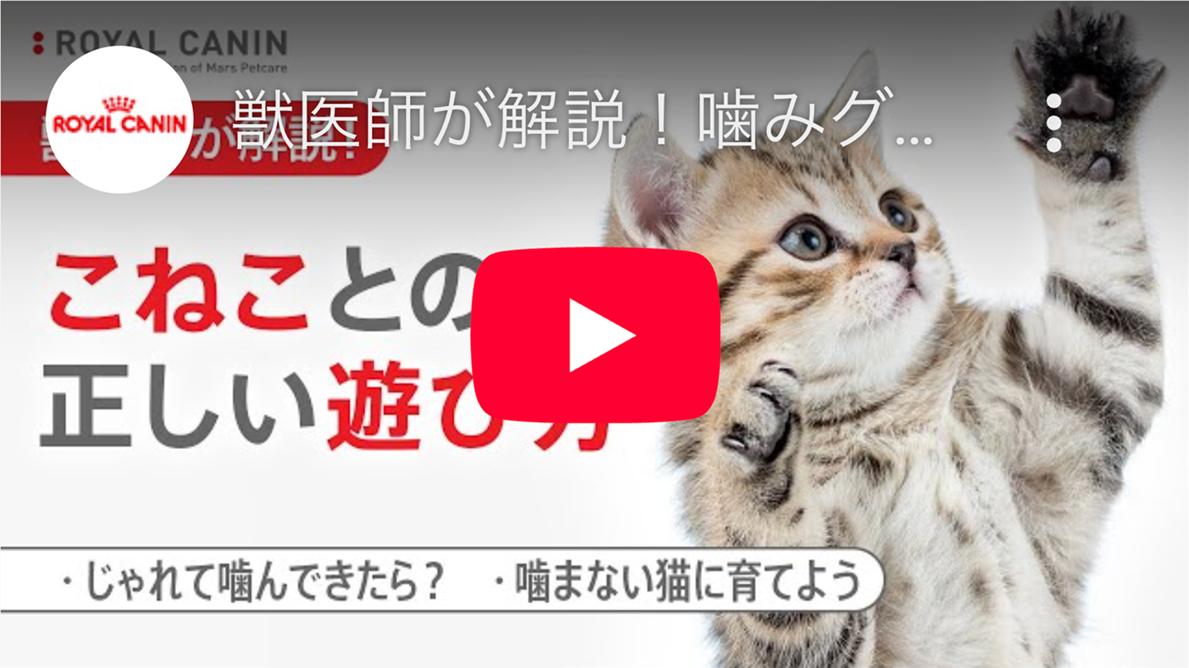 youtubeサムネイル